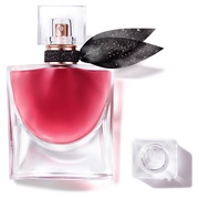 ラヴィエベル レクストレ