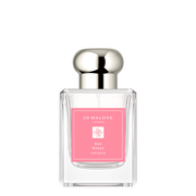 レッド ローズ コロン